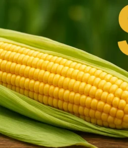 Sonhar com milho verde descascado: preparo e prosperidade