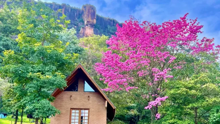 Chalé em Piraputanga: refúgio com cachoeira no paredão