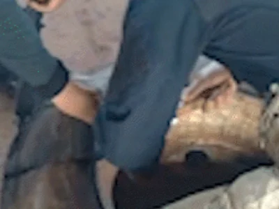 Polícia apreende 121 tabletes de cocaína em pneus de carreta com soja