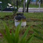 Botijão pega fogo e assusta antes de abertura do Arraial