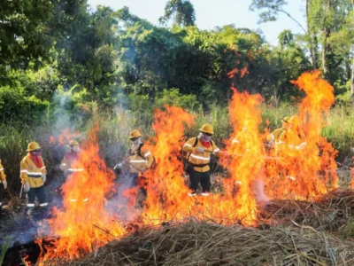 Brigadas do Pantanal aprendem uso controlado do fogo