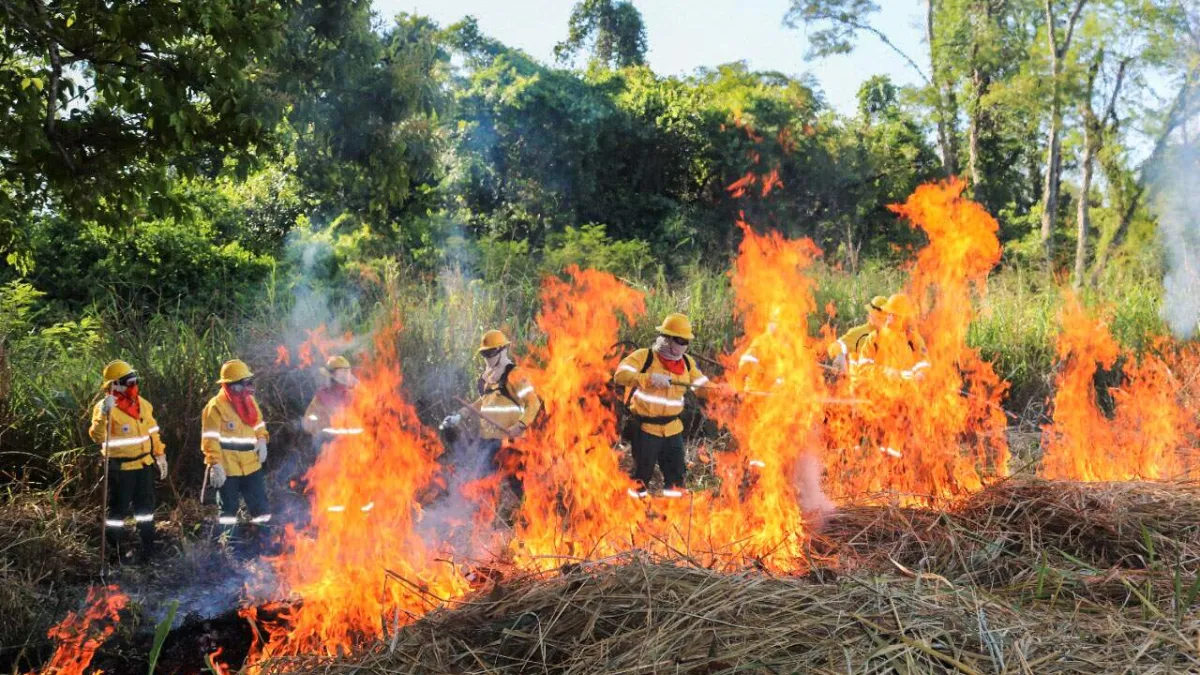 Brigadas do Pantanal aprendem uso controlado do fogo