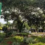 Empresários são condenados por fraude milionária em compra de mapas