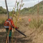 Brigada Alto Pantanal evita incêndios na Serra do Amolar