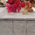 Feminicídio: metade dos casos ocorre em casa à noite