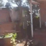 Prefeitura determina desocupação de 57 famílias na Avenida Duque de Caxias