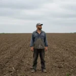 Retomada de terra arrendada: como fazer sem erros