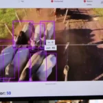 Startup de MS cria IA que monitora bovinos por imagem