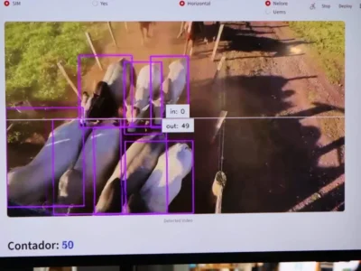 Startup de MS cria IA que monitora bovinos por imagem