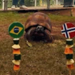 Jabuti Cacá prevê eliminação do Brasil na Copa de 2026