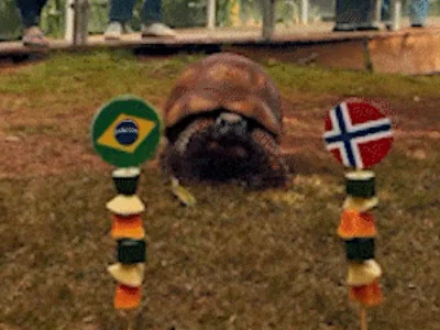 Jabuti Cacá prevê eliminação do Brasil na Copa de 2026