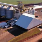 Cooperativismo cresce 26% e atinge 1 em cada 4 em MS
