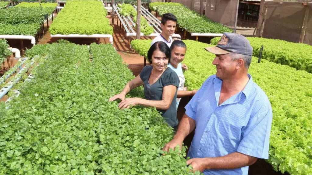 Câmara aprova programa que compra alimentos de pequenos agricultores