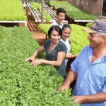 Câmara aprova programa que compra alimentos de pequenos agricultores