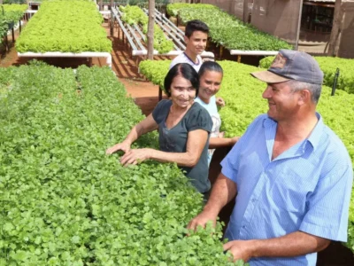 Câmara aprova programa que compra alimentos de pequenos agricultores