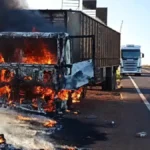 Carreta pega fogo e bois são soltos na MS-395