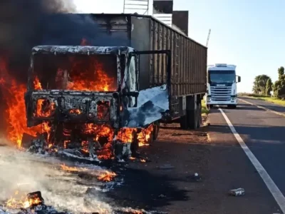 Carreta pega fogo e bois são soltos na MS-395
