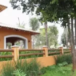 Justiça autoriza música ao vivo em restaurante no Parque dos Poderes