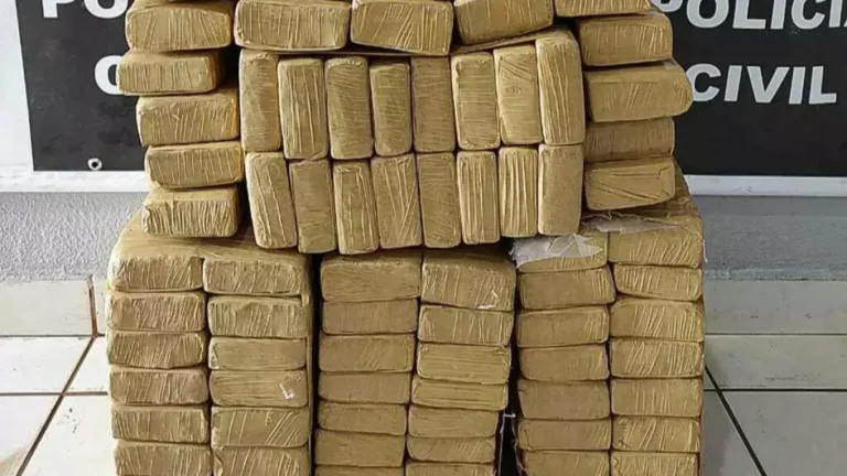 Jovem é preso com 394 kg de maconha em MS-164