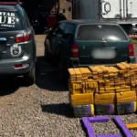 Mulher é presa com 408 kg de maconha em Campo Grande
